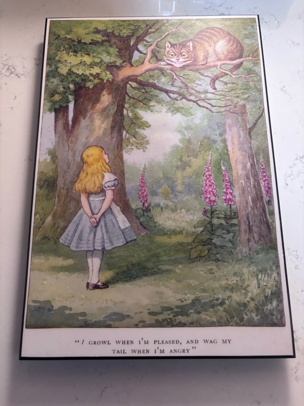Wood Mount Alice in Wonderland Illustrated Wall Art Print